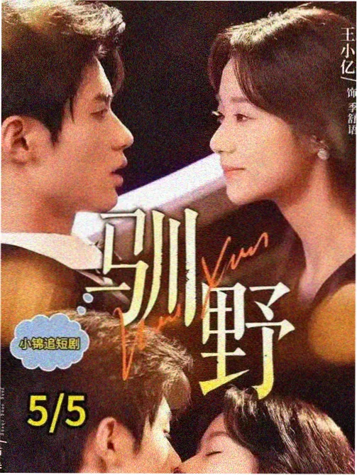 雪落宫墙 古装韩剧推荐